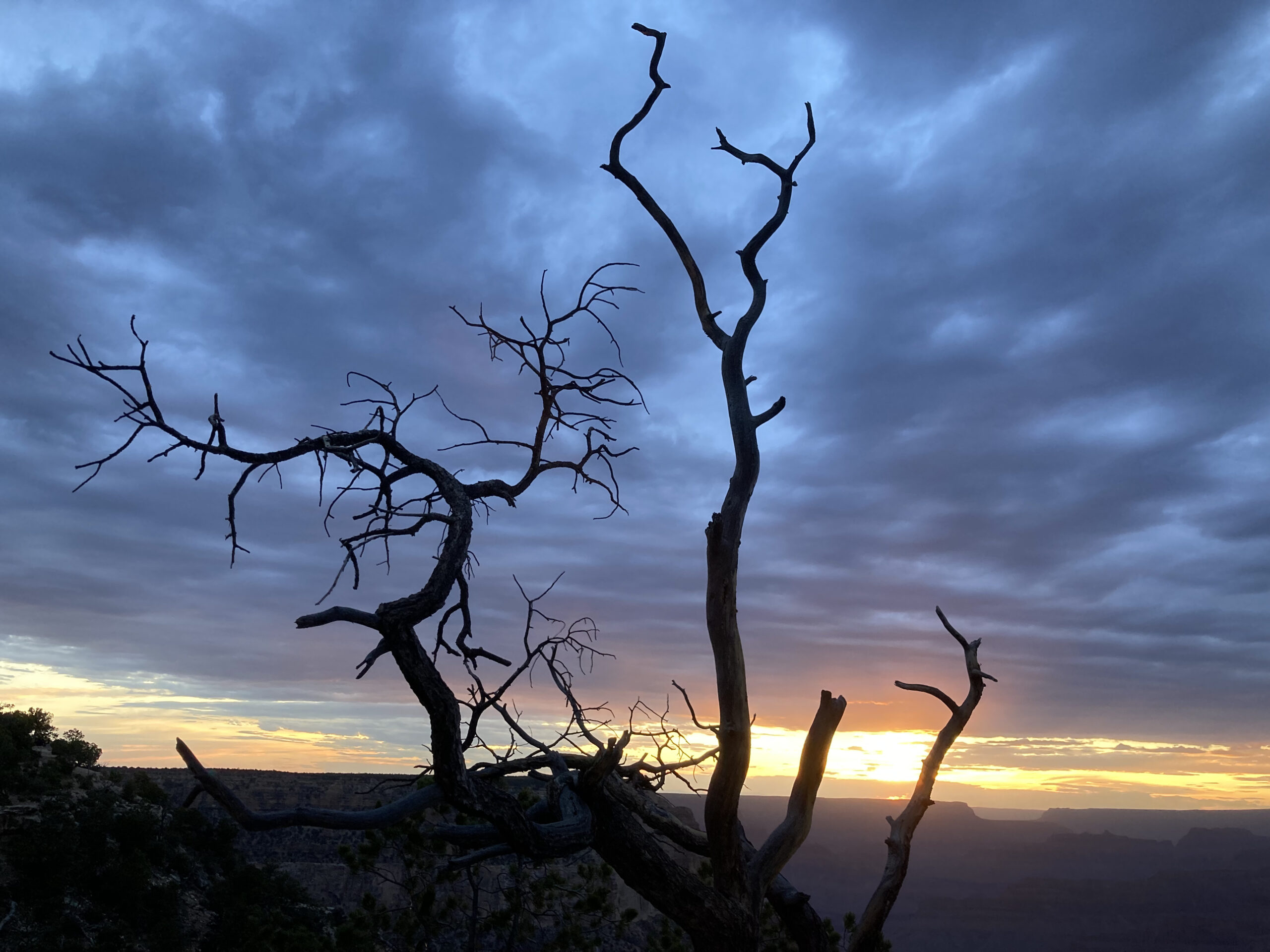 Grand Canyon Silhouette