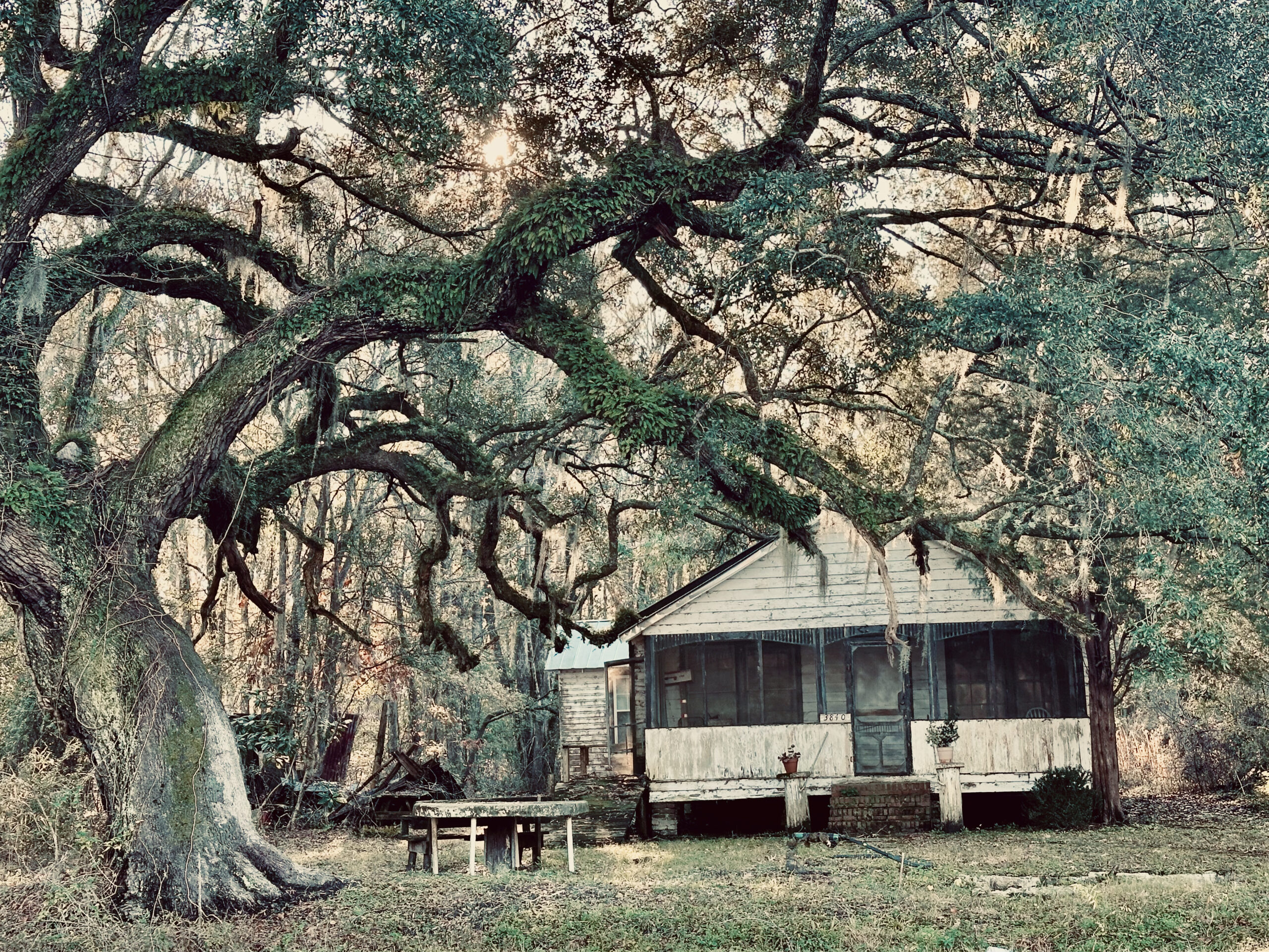 House Under The Oak